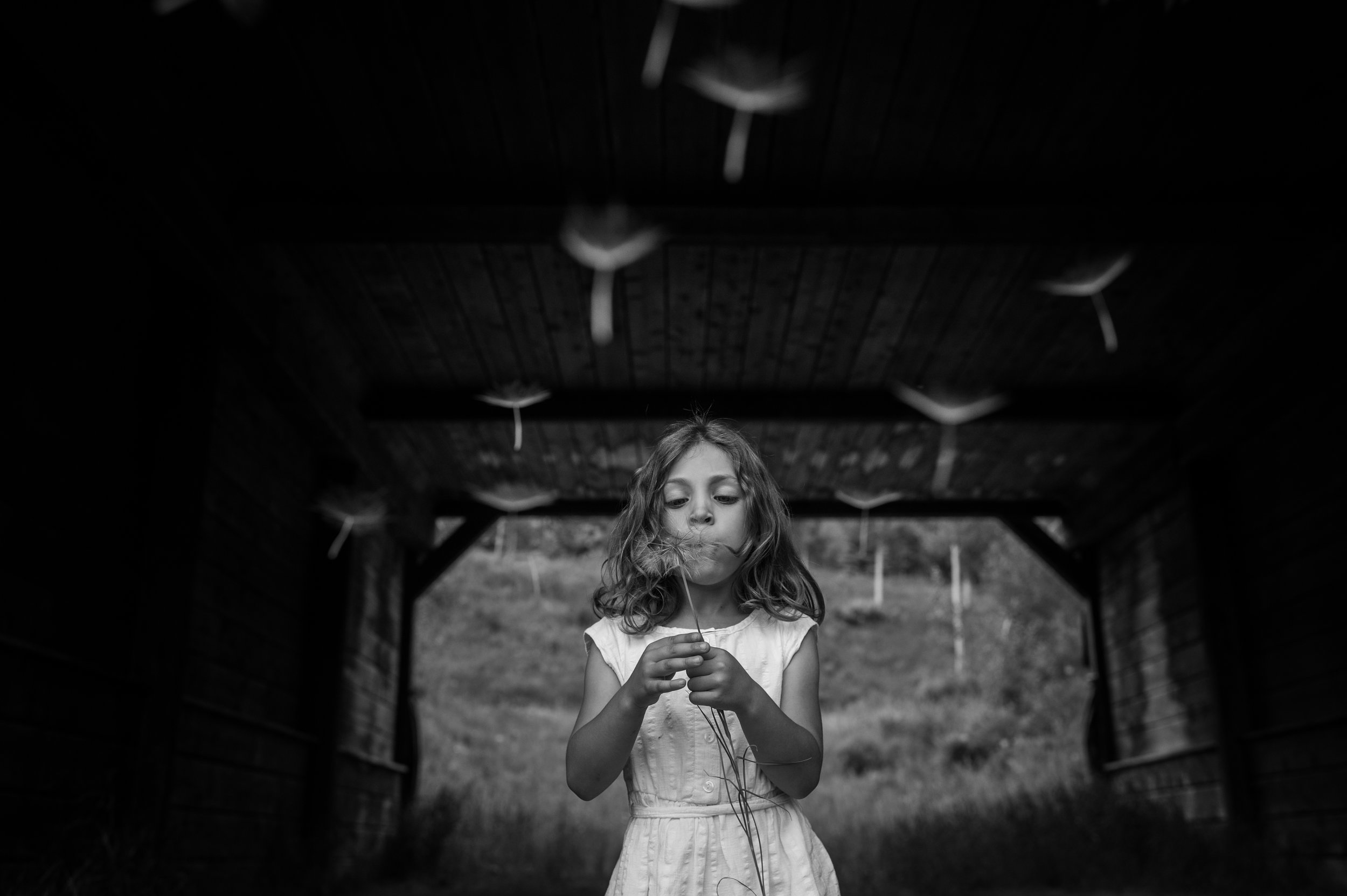 girl with dandelions portrait by Erin Borzellino. Colorado